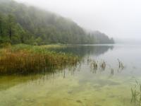Der Prošćansko See bei Nebelstimmung - Plitvice NP